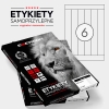 ETYKIETA EMERSON 245X35MM 100 ARKUSZY